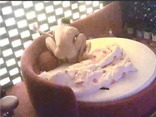 进房就是一顿操