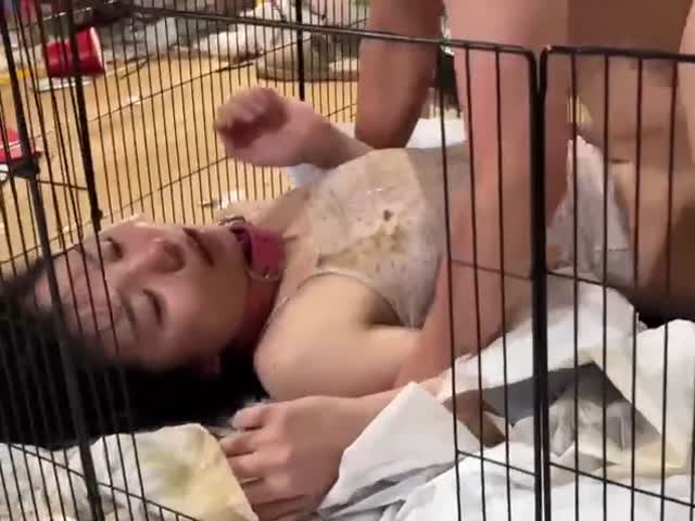 智商缺陷小美女