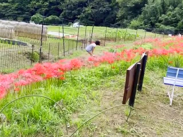 【MJ】活泼可爱小美女